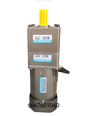 大速比低转速慢速40W120W90W300W调速电机马达300K-1000K220V380V