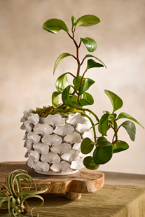 FQR LIVING美国ANTHROPOLOGIE手工制作雕刻陶器花瓣贴花花盆 花瓶