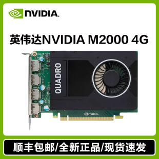 M4000 英伟达 M2000 M5000 NVIDIA M6000专业绘图显卡