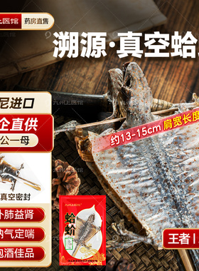 蛤 蚧干货定喘一对大蚧蛤干药用蚧蛤中药饮片哈蛤蚧丸粉药材泡酒