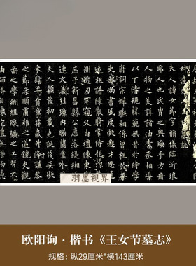 欧阳询楷书《王女节墓志》高清微