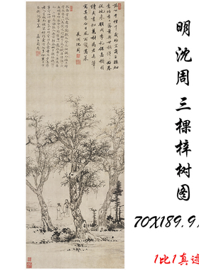 沈周 三棵梓树图 复古书画水墨花卉山水国画微喷仿古复制挂轴装饰