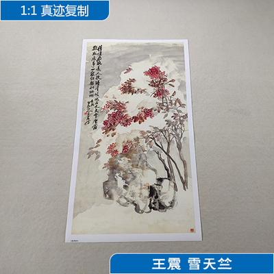 名画复制品王震雪天竺写意设色没骨花鸟画国画艺术微喷临摹装饰画