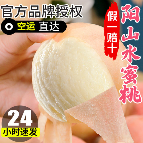 正宗无锡阳山水蜜桃新鲜现摘