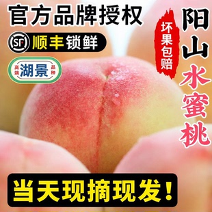 【8-9两6颗】正宗无锡阳山水蜜桃子新鲜水果整箱当季湖景山白凤毛