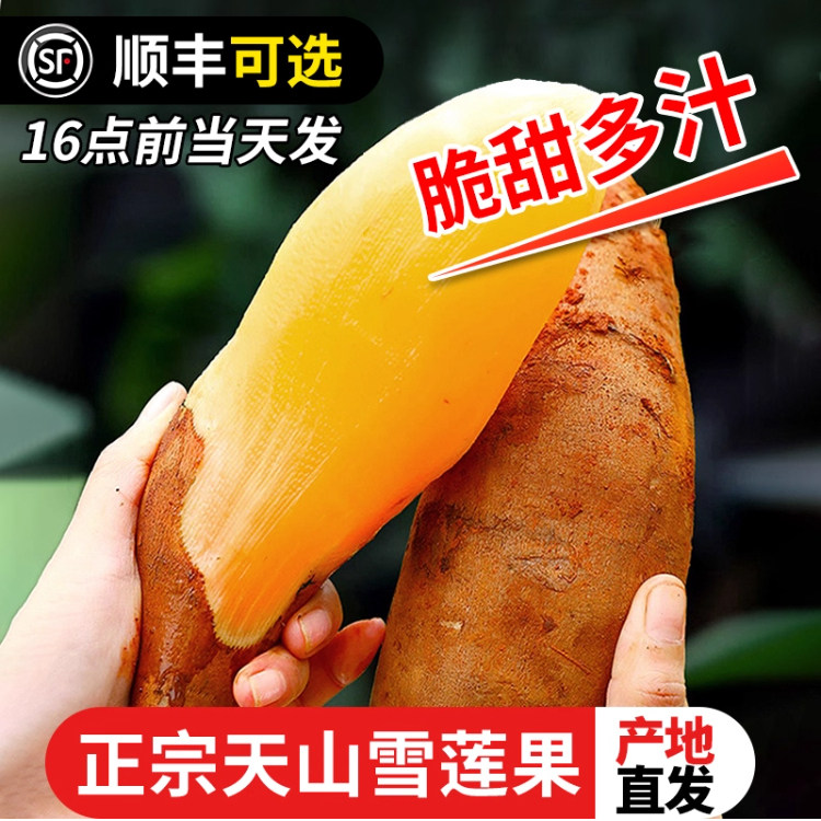 云南天山雪莲果新鲜水果红心雪连果一级当季特整箱9斤大果旗舰店