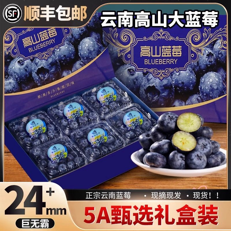 云南高山蓝莓新鲜水果特大礼盒装应当季整箱顺丰蓝梅冠超一颗枝