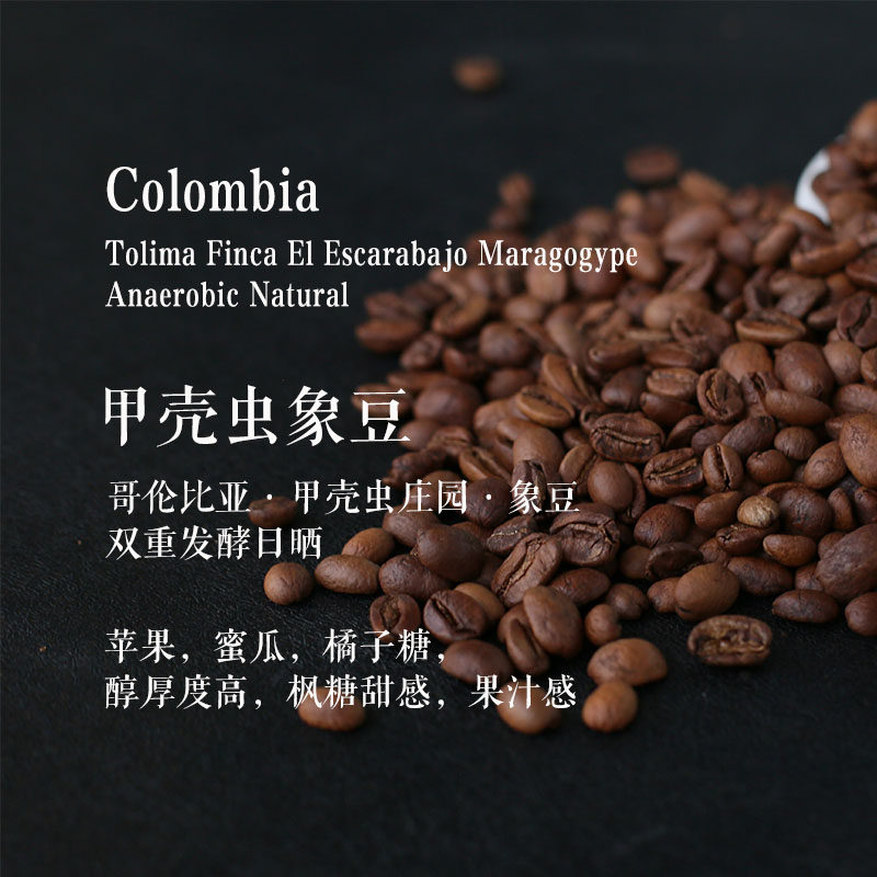 咖啡豆哥伦比亚甲壳虫庄园象豆双重发酵日晒轻度烘焙单品手冲咖啡,咖啡/麦片/冲饮,咖啡豆,淘宝优惠券,粉丝福利购,淘宝优惠卷