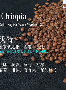 三夜埃塞俄比亚古姬沃特水洗轻烘袋装精品手冲咖啡豆冠军同处理站