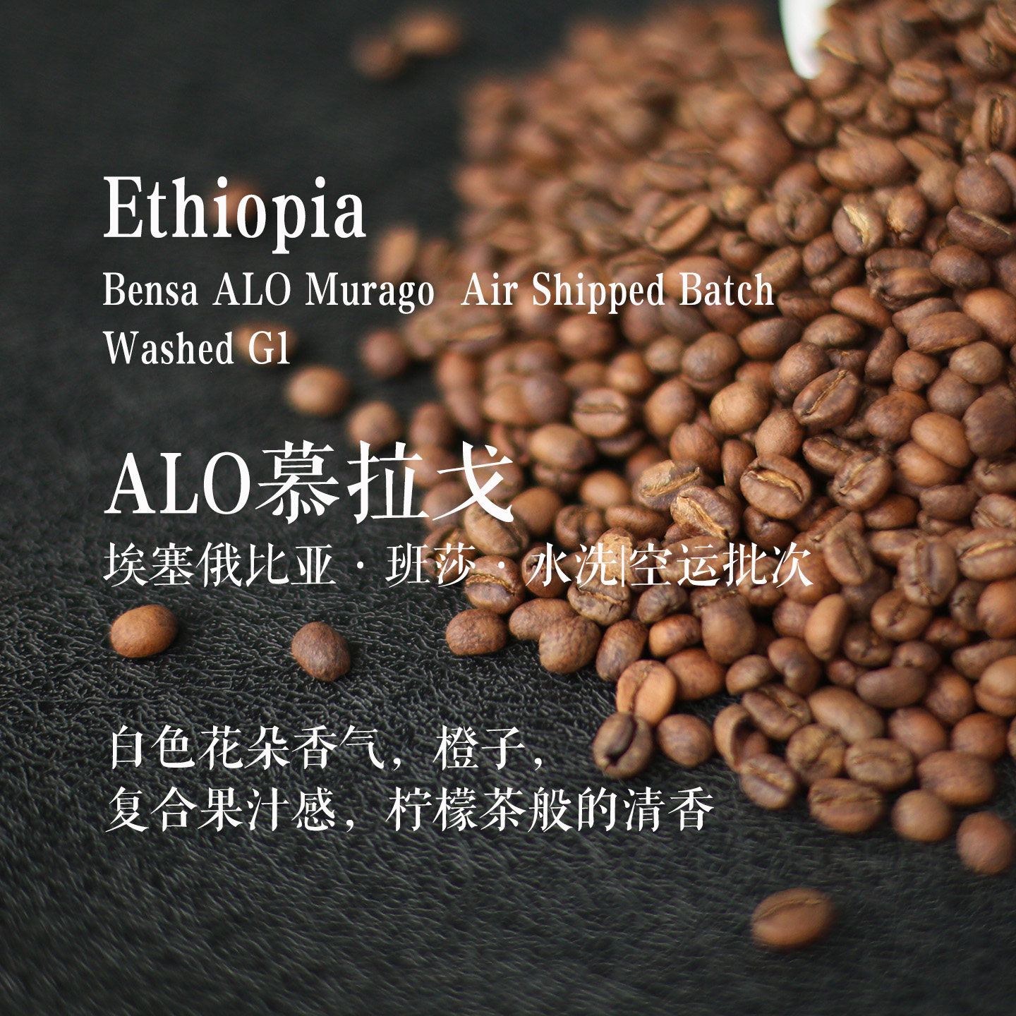 新鲜烘焙 埃塞俄比亚 班莎Alo慕拉戈 水洗轻烘手冲精品咖啡豆袋装