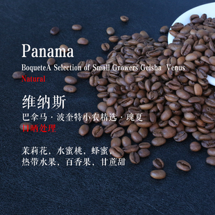 三夜巴拿马波奎特小农精选维纳斯日晒瑰夏轻度烘焙精品手冲咖啡豆