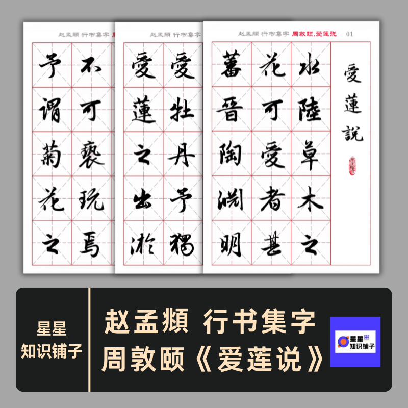 赵孟頫行书集字 周敦颐《爱莲说》米字格 电子版非纸制字帖PDF7页