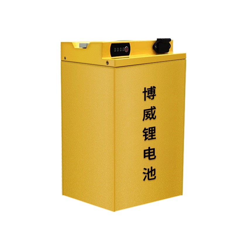 电动车锂电池二轮车48v三轮车60v四轮72v电动车大容量