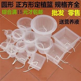 速发培培植物托网水水定植篮长定形水培植物 定值篮方根器花卉