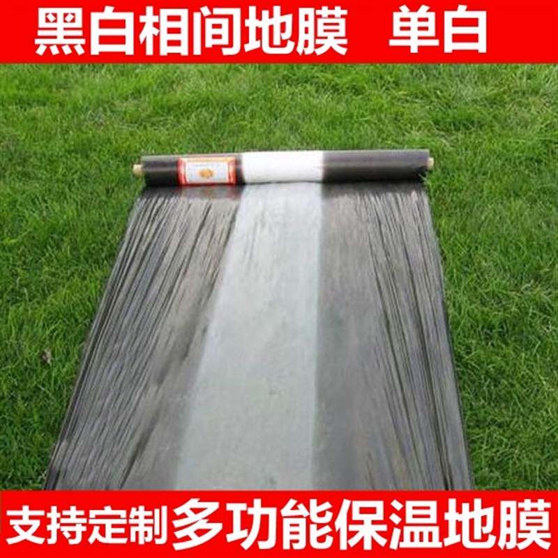 速发除草塑料相间黑白地n膜农用白膜种菜黑地膜膜薄膜家用软膜覆