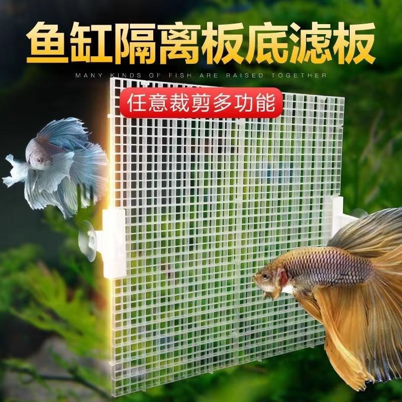 现货鱼缸隔离板亚克力挡r板挡鱼分离网隔断网隔板分离板透明水族