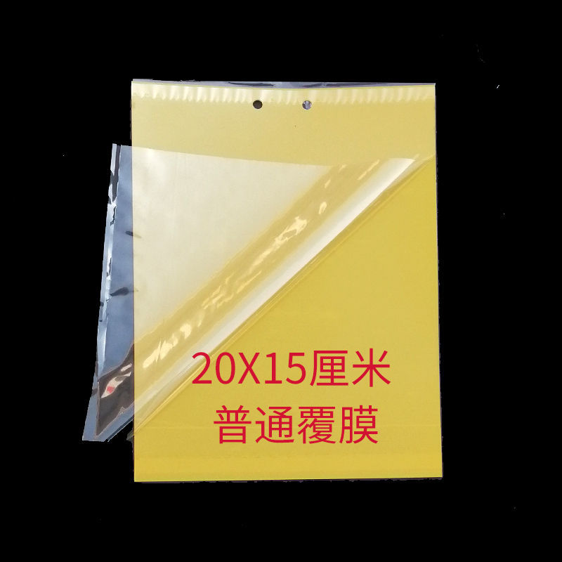 速发小飞虫果园蔬菜双面强力粘虫板诱虫板黄板果树苍蝇果蝇针蜂粘