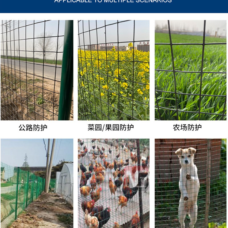 现货铁丝网硬塑荷兰网养殖网栅栏户外网子果园围栏网护栏隔离网防