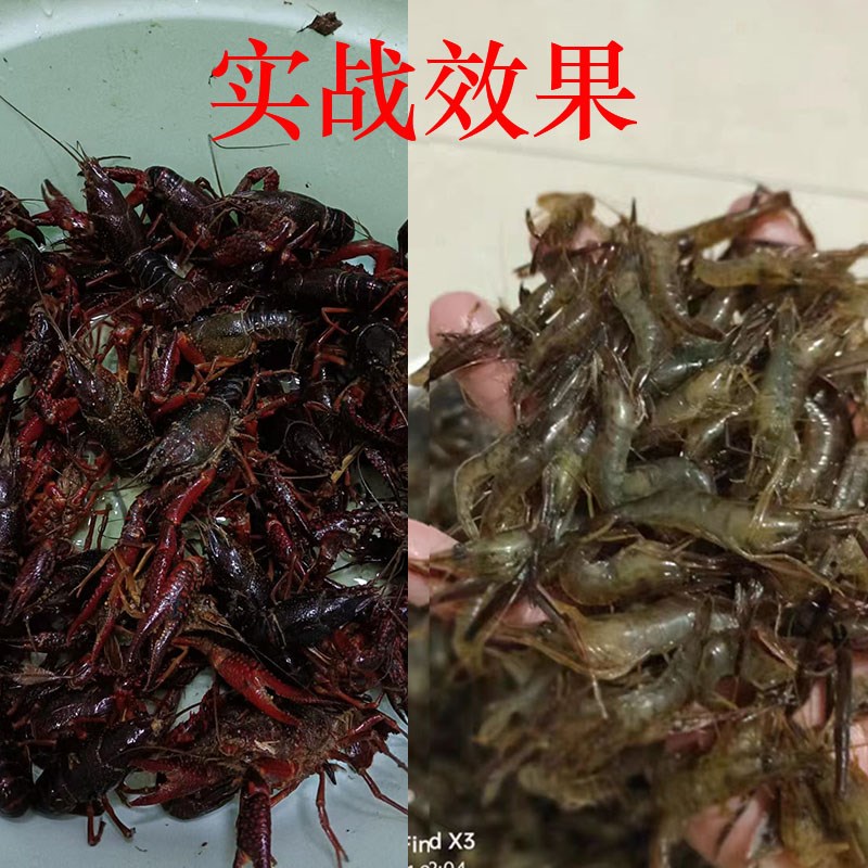 现货憋虾灵虾上岸药虾药抓虾神器虾憋灵晕虾药虾药钓翘嘴捕虾药