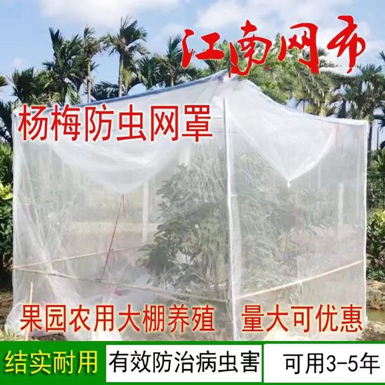 速发杨梅网罩水果树网罩防虫莲雾蓝莓网桃树防鸟网网罩大棚网罩蚊