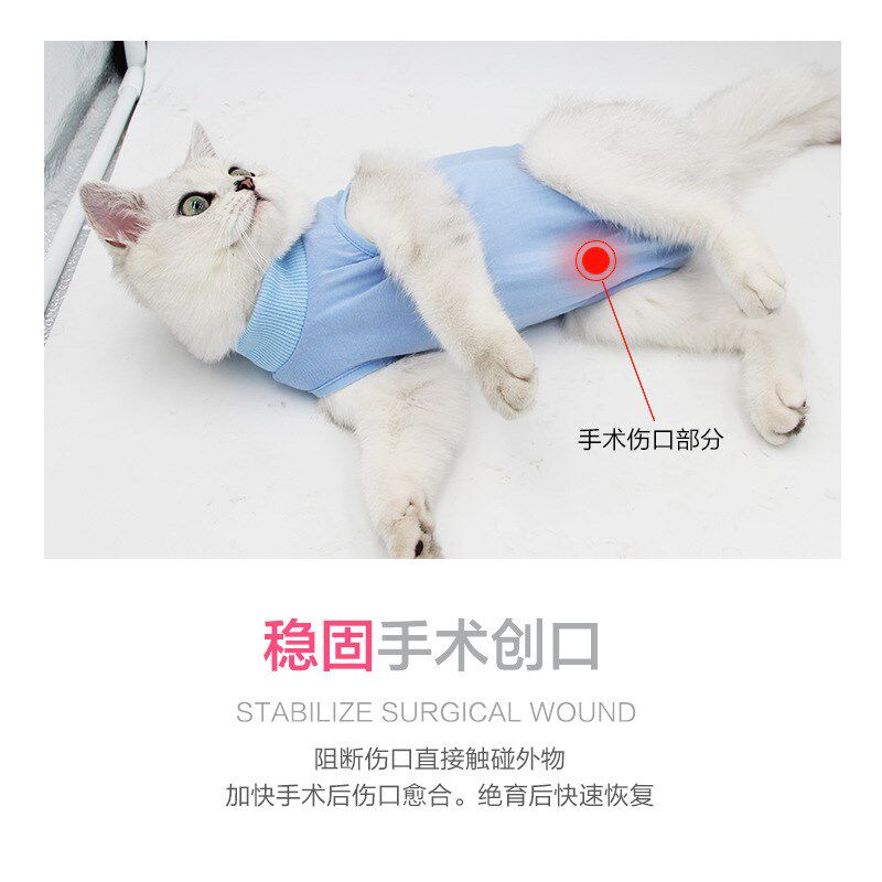 速发跨境猫衣服母猫绝育服防舔透气弹性断奶术后服宠物绝育服猫康