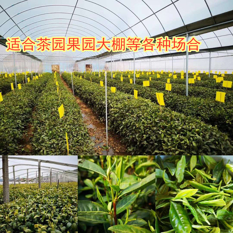 速发粘虫板黄板双面诱虫板黄色黏板蓝板蓟马灭小飞虫沾杀果蝇大棚