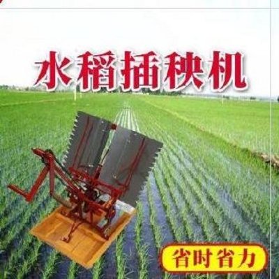 速发农民稻田?种田平地配件|链条两行插秧机水稻农r用大型新式?