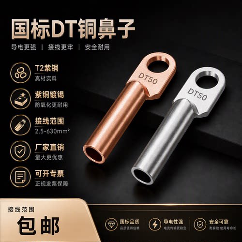 国标DT铜鼻子接线端电缆头