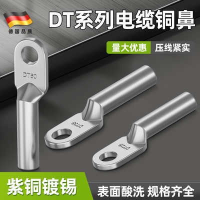 DT铜鼻子接线端纯头162535