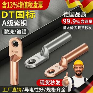 凤凰国标A级B级DT堵油铜鼻子纯紫铜线鼻子接线端子DT10