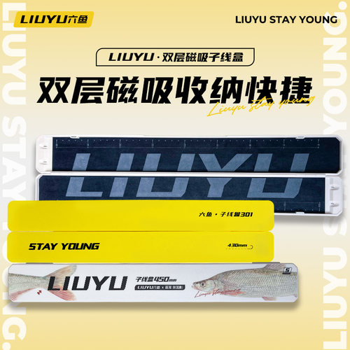六鱼子线盒小号超薄双层大容量