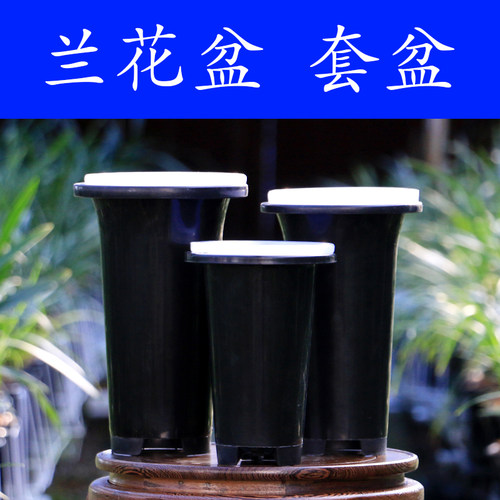 轻便透气懒人可视兰花盆塑料套盆