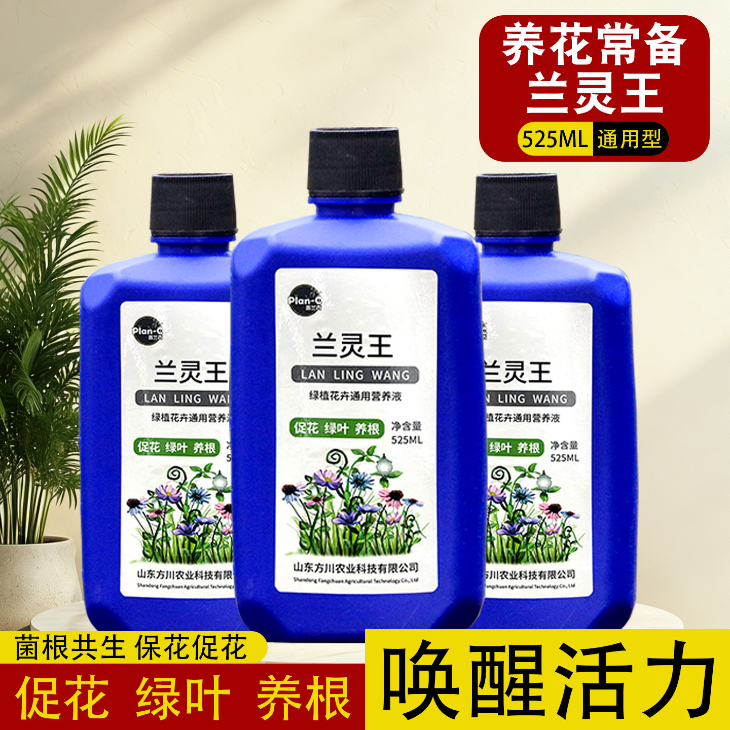 兰灵王兰花专用营养液芽促花图片