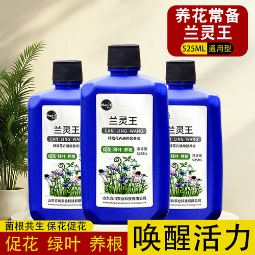 兰灵王兰花专用营养液芽促花
