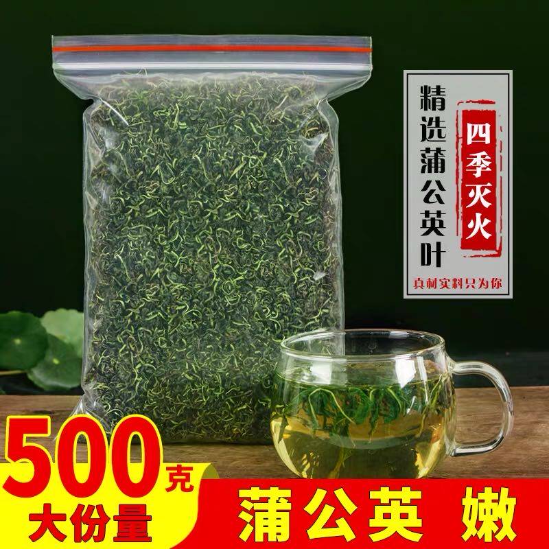 长白山女性非特级野生蒲公英根茶