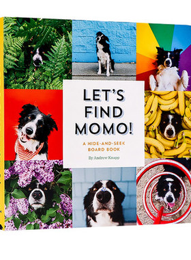预售 英文原版 Let'S Find Momo 让我们找到莫莫 纸板书 狗狗摄影书 儿童互动游戏学习书 幼儿科普绘本 早教认知 Andrew Knapp