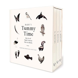 预售 我们的小冒险 Baby's Tummy Time Book Box Set 3册礼盒装 视觉发育 拉拉书 英文原版 0-4岁启蒙