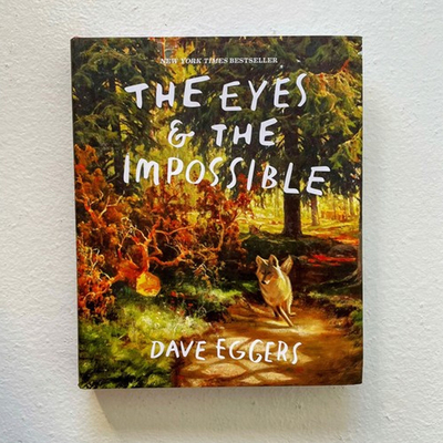 眼睛与不可能 2024纽伯瑞金奖 Shawn Harris The Eyes and the Impossible 英文原版 故事绘本