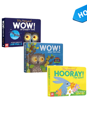 英文原版 麦克米兰美育绘本 小猫头鹰看世界系列 纸板书 Tim Hopgood/Walter's Wonderful Web