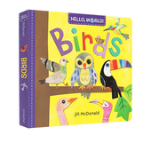 World Birds 纸板书 英文原版 幼儿科普百科 Hello 你好科学小世界 幼儿STEM启蒙图画书 绘本