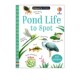 Pond 幼儿启蒙认知读物 Life Spot 英文原版 附贴纸 水上动植物指南 宝宝益智游戏书