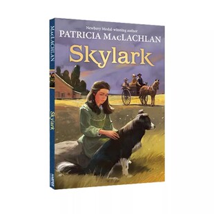 又丑又高 云雀 Skylark 儿童文学小说 Patricia MacLachlan 莎拉同作者 英文原版