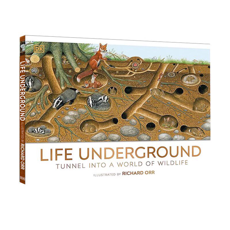 英文原版 DK Life Underground 地下世界的生活 生物知识 儿童科普百科读物 精装 7-12岁