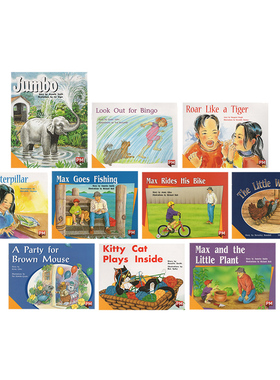 L8一年级 词汇训练 Yellow黄色套装3 PM Readers 彩虹阅读 10册 小学生分级阅读 小花生精选阅读教辅英文原版启蒙绘本