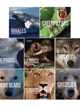 英文原版 National Geographic Face to Face 系列 Dolphins/Lions/Sharks/Frogs 8册合售 美国国家地理儿童百科科普