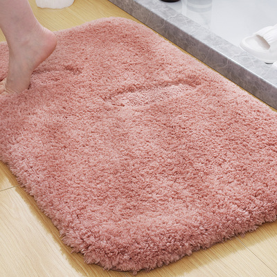 浴室地垫入户门地毯厕所吸水脚垫