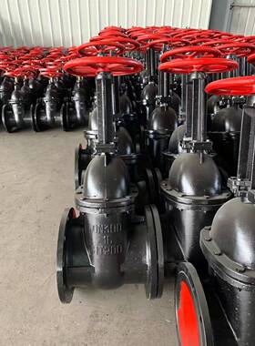 明杆闸阀 法兰连接 铸铁材质 厂家直销 Z41T-10 DN50--800