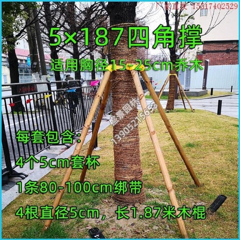 树木支撑固定器树撑套杯树枝景区道路捆绑器拉紧带园林绿化支撑杆