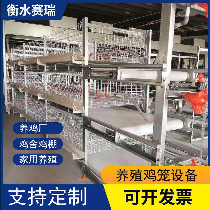 鸡笼肉鸡笼全自动肉鸡笼热镀锌肉鸡笼养殖场用自动肉鸡笼