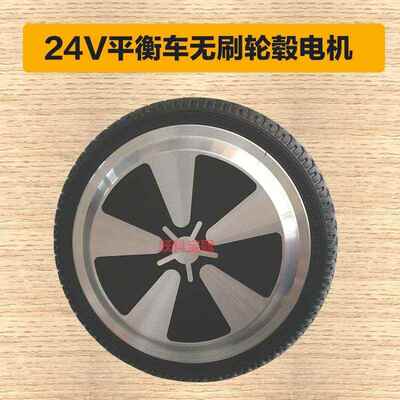 Two wheels torque wheel 24V brushless dc wheel hub motor